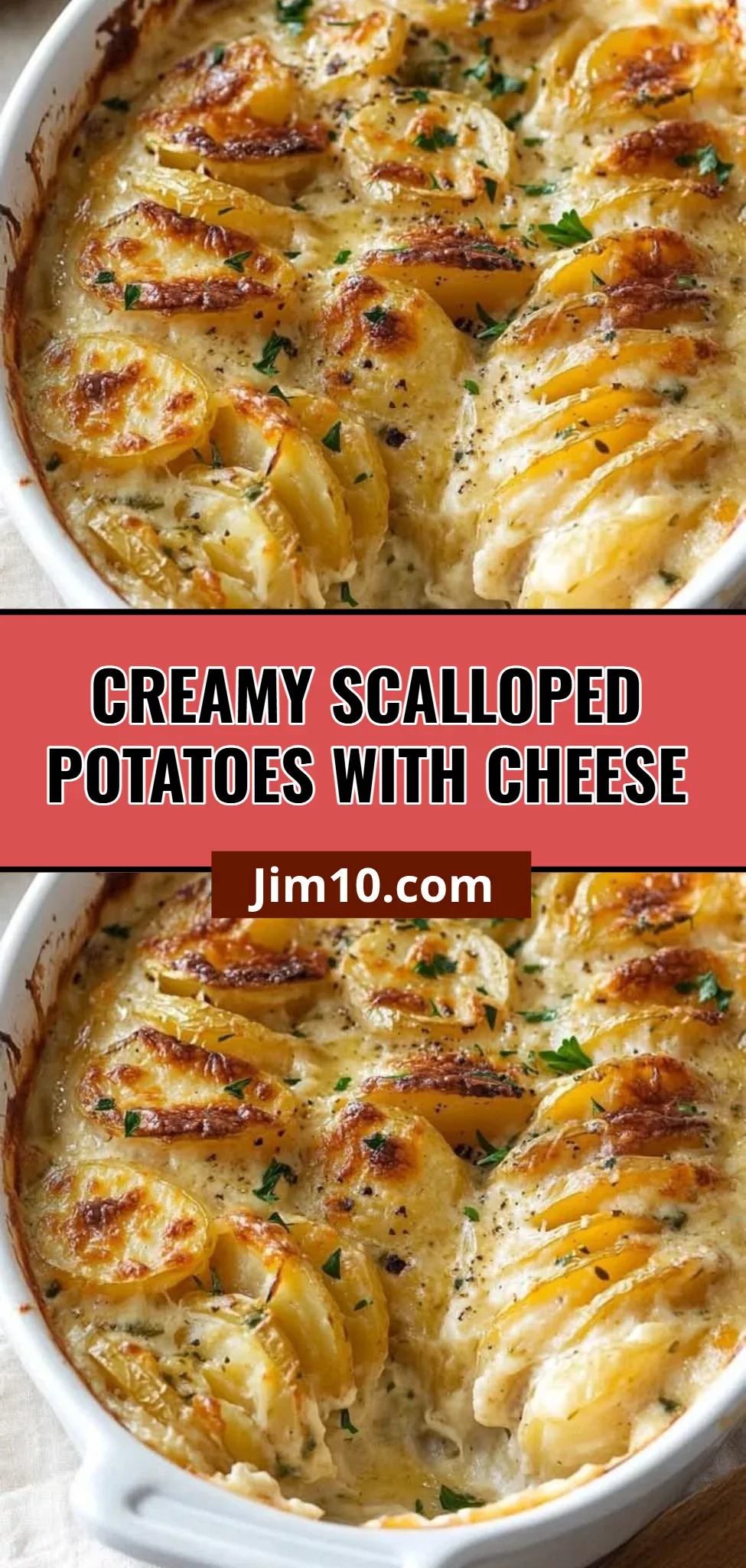 Creamy Scalloped Potatoes with Cheese